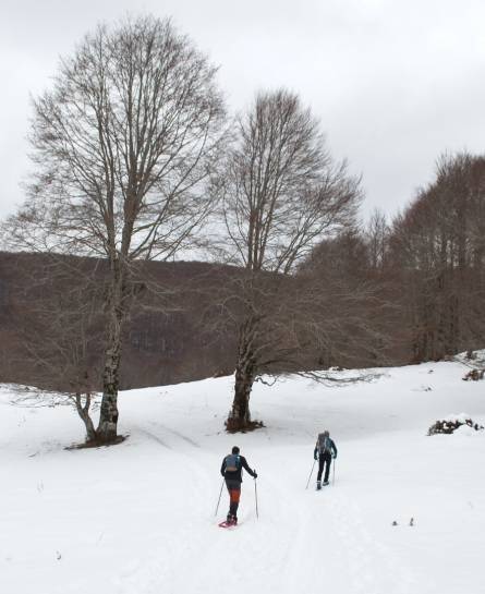 Ciaspolata a Campo Staffi con le guide Flavia Bertellini e Fabrizio Manuguerra