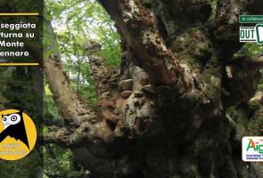 Passeggiata notturna su Monte Gennaro, proposta da Lazio Outdoor
