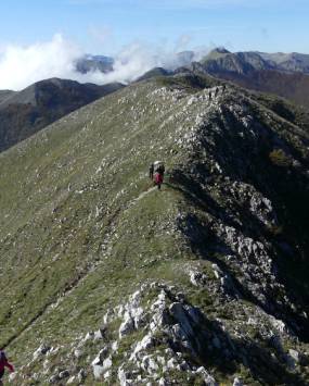 Creste e Boschi al Valico di Forca d'Acero, attività proposta da Sound Trek