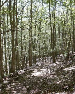 Eco Trekking a Pizzo Deta da Prato di Campoli, proposto da Inspire