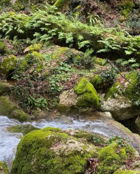 Escursione “L’acqua dell’antica Praeneste” con la guida  Fabio Salati