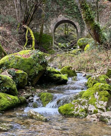 Escursione “L’acqua dell’antica Praeneste” con la guida  Fabio Salati