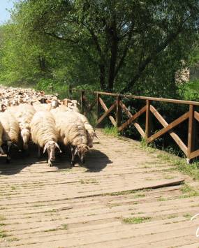 Eco Trekking nella Riserva Naturale Valle dell'Aniene, proposto da Inspire