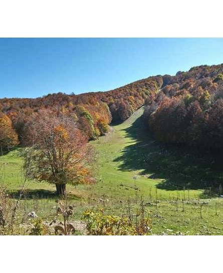 Geoescursione a Campo dell'Osso