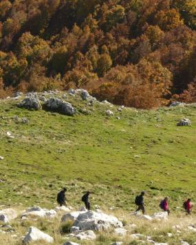 Creste e Boschi al Valico di Forca d'Acero, attività proposta da Sound Trek