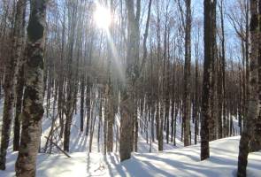 Monte Autore, a cura di Latium Volcano, Associazione Ecologica Ambientale