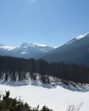 Escursione sul Monte San Rocco con le guide Francesco Palladino e Fabrizio Cordischi