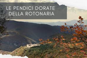 Sulle pendici dorate della Rotonaria, proposta da Vertigini