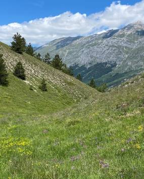 Il Cammino del Gran Sasso con Itinarrando