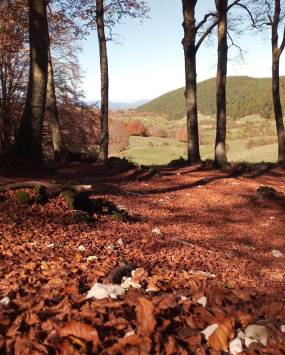 Campaegli, il Monte Calvo e Campo Buffone con Stella Polare Trek