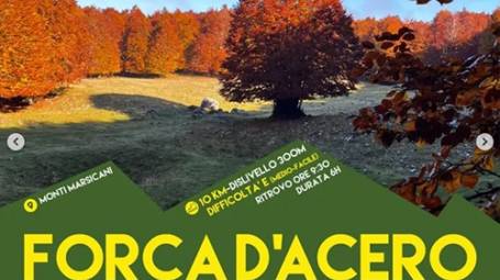 Forca d'Acero, la magia del Foliage in Abruzzo con Stella Polare Trek