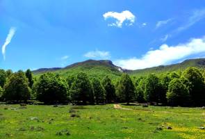 Monte Tarino, attività proposta da Latium Volcano