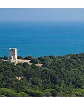 Trekking Weekend nel Parco della Maremma