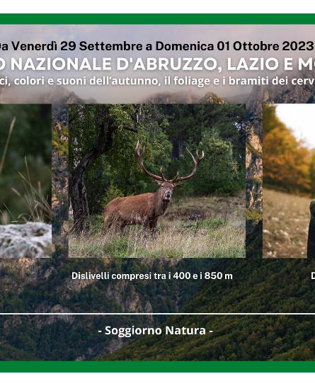 PNALM FALL EDITION: IL FOLIAGE E IL BRAMITO DEI CERVI • Soggiorno con Strike Adventure