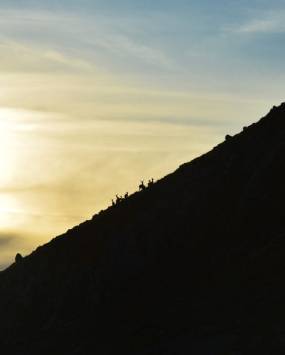 Monte Meta, nella terra dei camosci, con Trek Mood