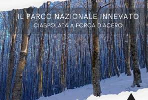 Il Parco Nazionale Innevato, Ciaspolata a Forca d’Acero, con Vertigini
