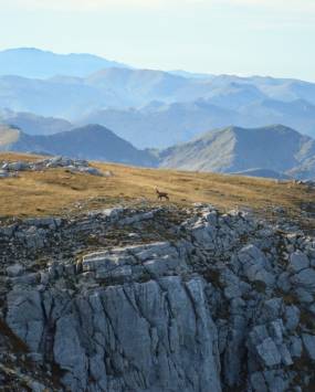 Monte Meta, nella terra dei camosci, con Trek Mood