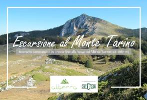 Monti Simbruini: escursione da Campo Staffi alla vetta del Monte Tarino, con Alterra Monti Simbruini: escursione da Campo Staffi alla vetta del Monte Tarino, con Alterra