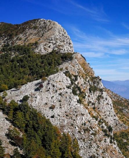 Monte Fammera: Il guardiano degli Aurunci con pranzo in rifugio con Strike Adventure