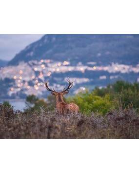 STRIKE ADVENTURE WHITE DAYS 2026 VILLETTA BARREA