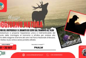SOGGIORNO PNALM: IL RESPIRO DEL CREPUSCOLO E IL BRAMITO DEI CERVI DAL TRAMONTO ALL’ALBA SOGGIORNO PNALM: IL RESPIRO DEL CREPUSCOLO E IL BRAMITO DEI CERVI DAL TRAMONTO ALL’ALBA