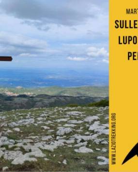 SULLE TRACCE DEL LUPO SUL MONTE PELLECCHIA, ATTIVITÀ PROPOSTA DA LAZIO OUTDOOR