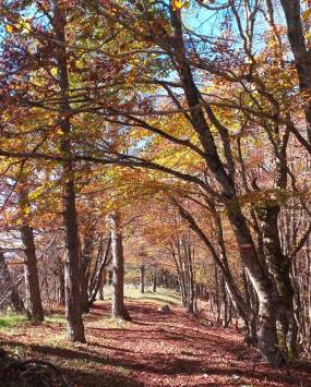 Campaegli, il Monte Calvo e Campo Buffone con Stella Polare Trek