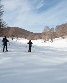 Ciaspolata tra le faggete del Monte Autore con le guide Flavia Bertellini e Fabrizio Manuguerra