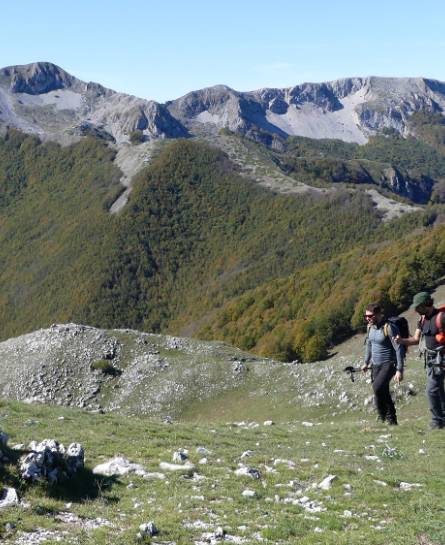 Creste e Boschi al Valico di Forca d'Acero, attività proposta da Sound Trek