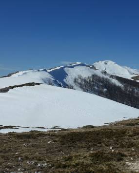Escursione sul Monte San Rocco con le guide Francesco Palladino e Fabrizio Cordischi