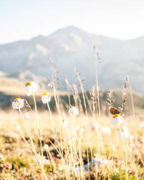 Wilderness d'Appennino, 2 giorni di trekking e bivacco con La Filibusta Pontina