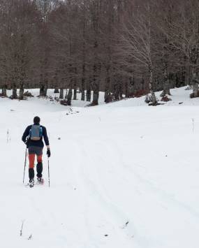 Ciaspolata a Campo Staffi con le guide Flavia Bertellini e Fabrizio Manuguerra