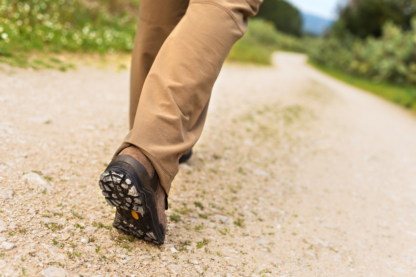 La via Francigena, un cammino per tutti