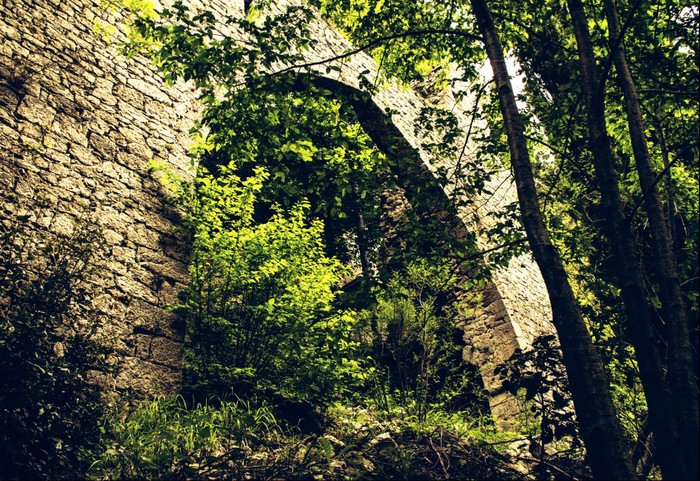 IN CAMMINO TRA DEE E SANTE