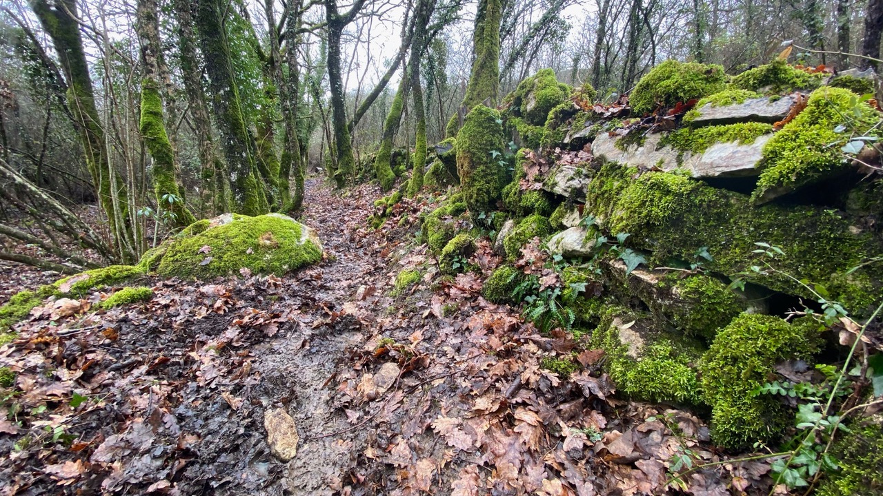 escursione valle cannuccete Boschetto Valle delle cannuccete