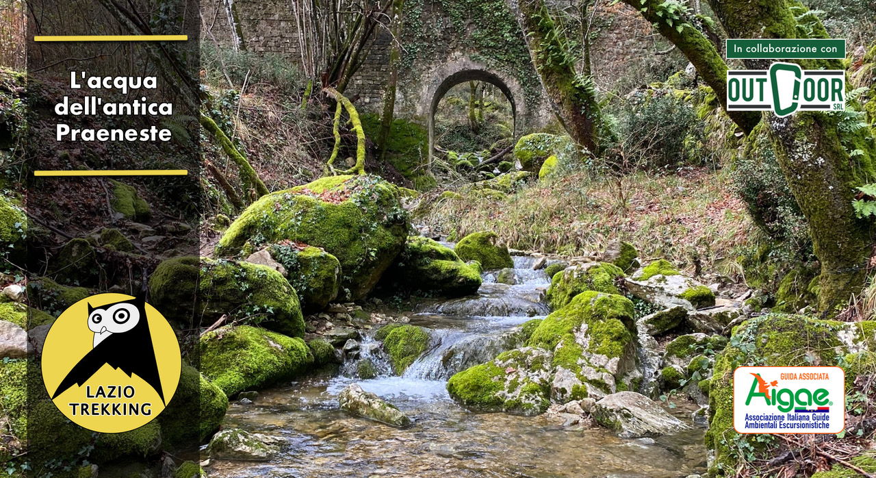 valle delle cannuccete Ruscello in valle delle cannuccete